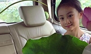 森碟变“采莲姑娘” 手捧荷叶清丽脱俗