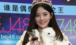 感觉挺火但不了解作品 SNH48靠什么盈利？