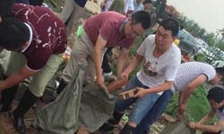 王宝强心系河北邢台洪灾 哥哥赴抗洪一线