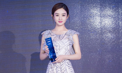 用数据说话 赵丽颖获评“2016年度最具价值女艺人”