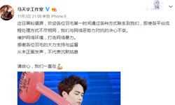 马天宇方抵制黑粉：未正面发声不代表沉默姑息
