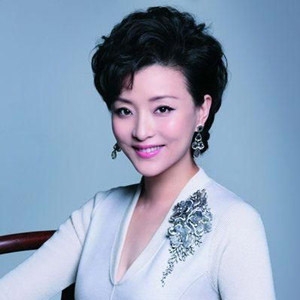 杨澜关系网