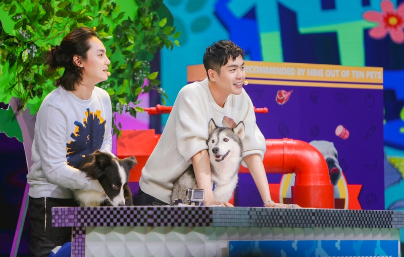 快乐大本营之尹正